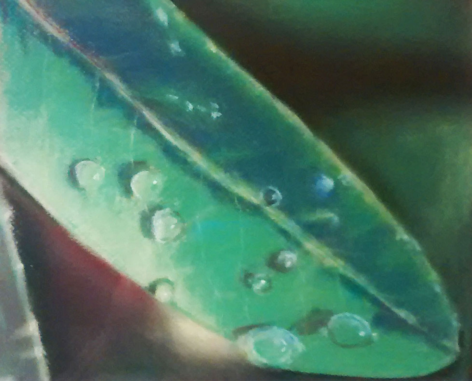"A memory from Martha's Vineyard" pastel on paper (2011)