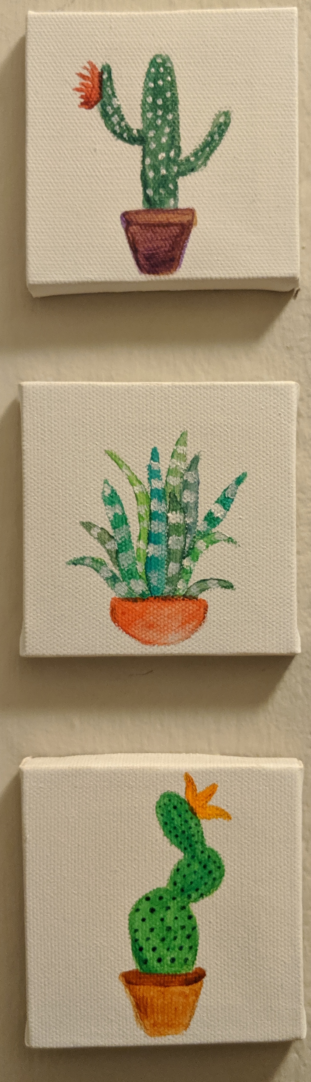 "Urbanized succulents from the California desert", 3"x3", acrylic, pinterest inspired, (2018)